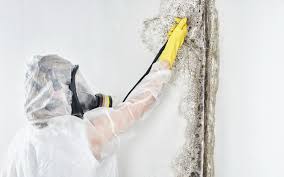 Best Mold Odor Removal Services  in Wauregan, CT